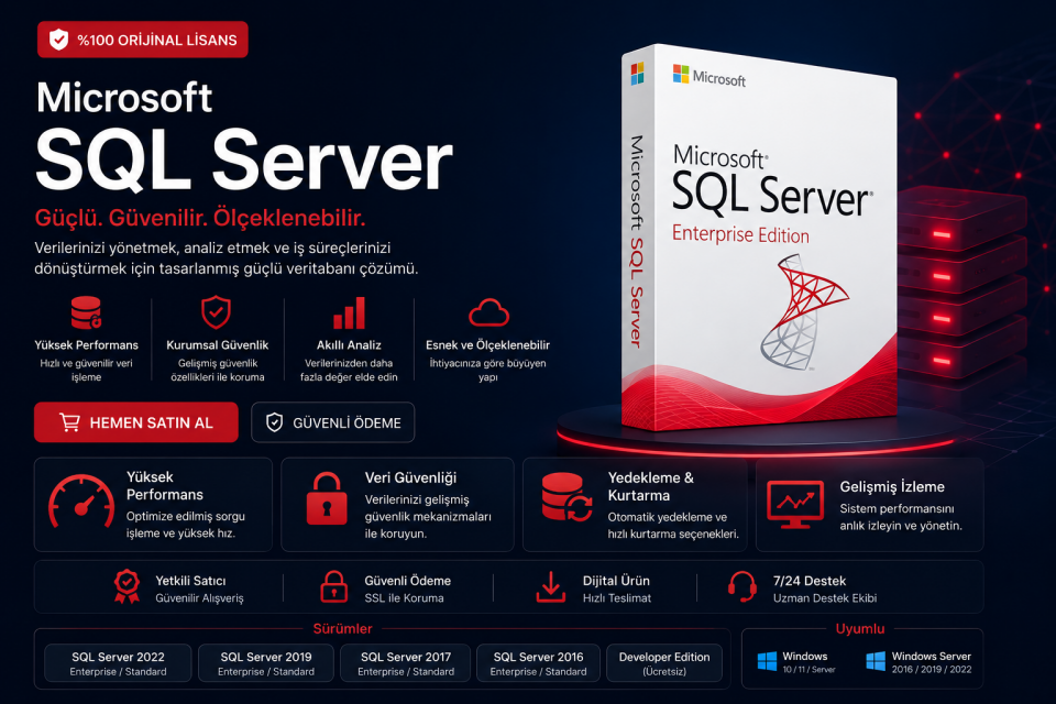 Microsoft SQL Server Standard Lisans