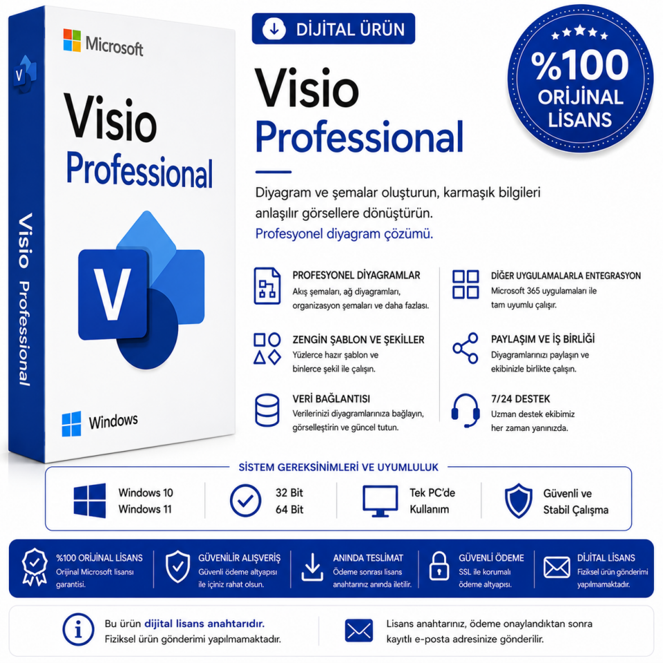 Microsoft Visio Professional Lisans