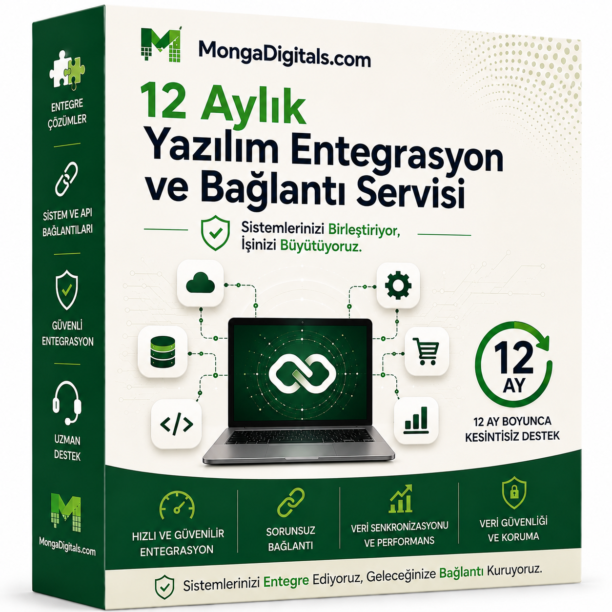 12 Aylık Yazılım Entegrasyon ve Bağlantı Servisi